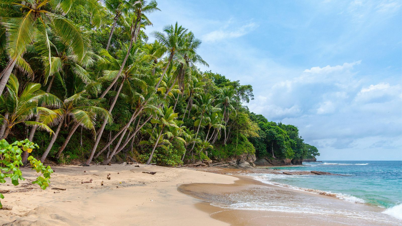 Tropischer Sandstrand mit Palmen und Türkisblauem Meer